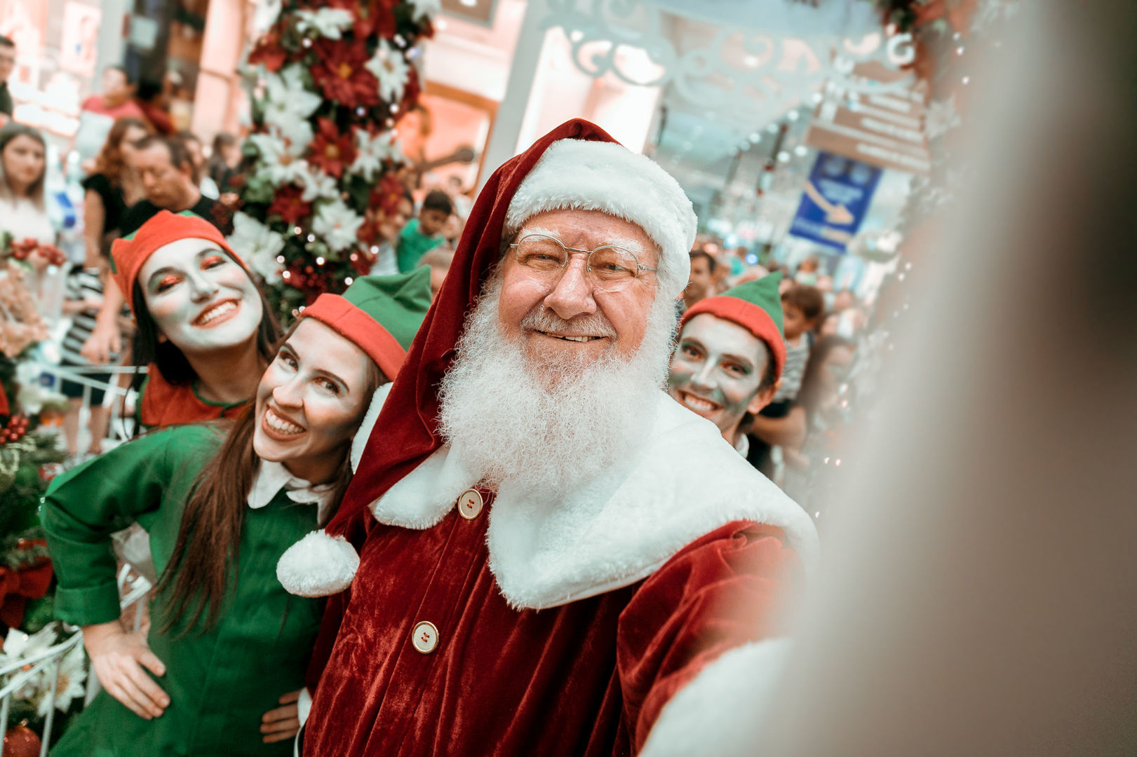 Foto O que fizemos em Novembro! - Imagem 3